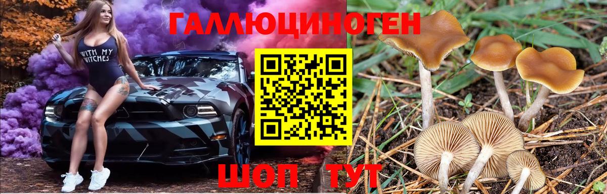 Галлюциногенные грибы Cubensis Вязники