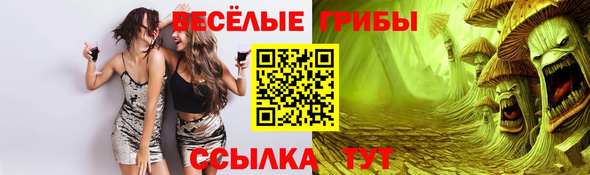 Вязники  Галлюциногенные грибы Psilocybe  Вход с VPN 